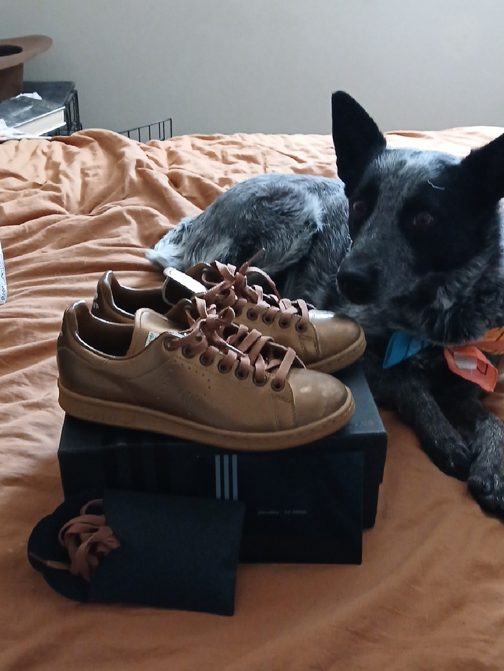 Adidas Bronze Raf Simons Sneakers